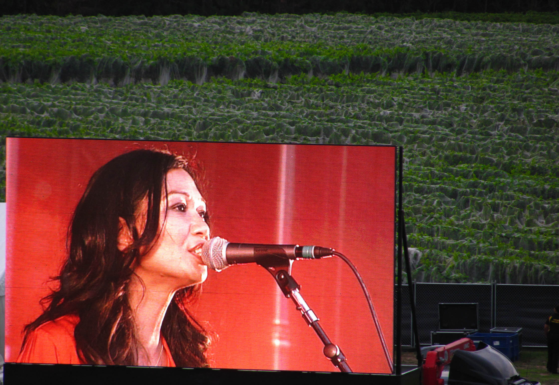 File:WineryTourAKLMAR22013 (30).jpg